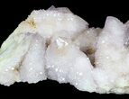 Cactus Quartz (Amethyst) Cluster - Large Crystals #62962-2